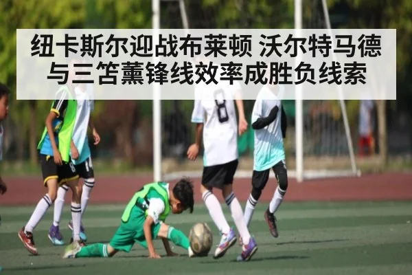纽卡斯尔迎战布莱顿 沃尔特马德与三笘薰锋线效率成胜负线索